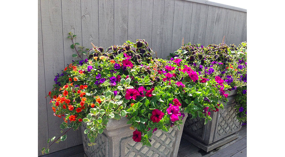 flower-pots-slider-006