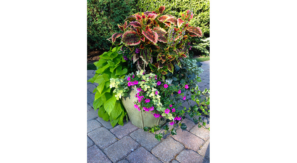 flower-pots-slider-009