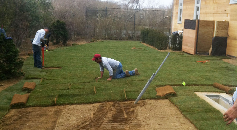 new-sod-lawns-slider-008